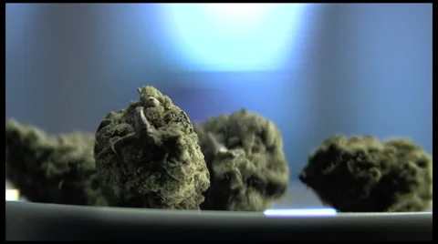 Marijuana buds close up Stock Footage 1182519
