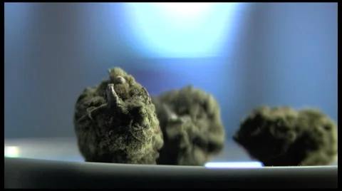 Marijuana buds close-up Stock Footage 1182523