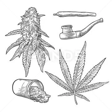 Marijuana buds, leaves, bottle , cigarettes and pipe for smoking. Stock Illustration