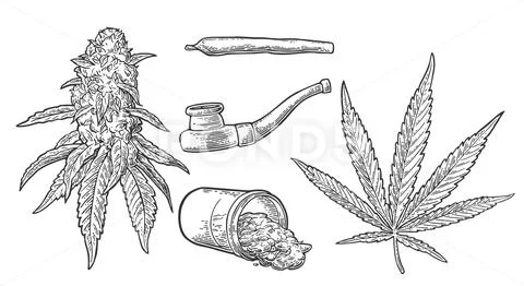 Marijuana buds, leaves, bottle , cigarettes and Pipe for smoking cannabis. Stock Illustration