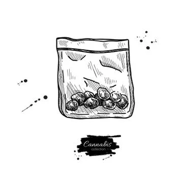 Marijuana buds in plastic bag. Vector drawing. Package of medical cannabis Stock Illustration