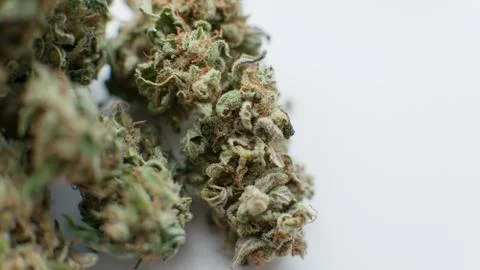 Marijuana buds on white background. Close up of a marijuana flower 스톡 사진