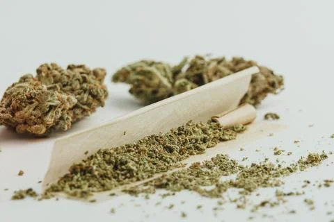 Marijuana buds on white background, close up. Stock-Fotos