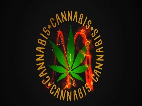 Marijuana cannabis leaf digital lines reveal animation 動画素材 72626942
