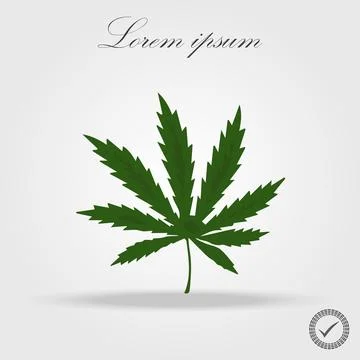 Marijuana, Cannabis leaf icon isolated vector illustration Stock Illustration