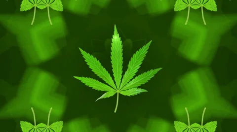 Marijuana / Cannabis Loop Stock Footage 41331760