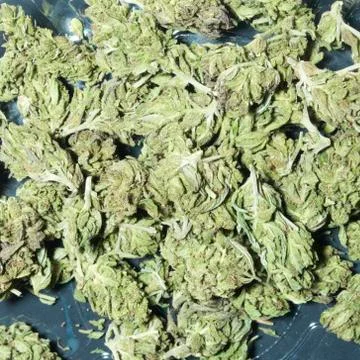 Marijuana colorado Stock Photos