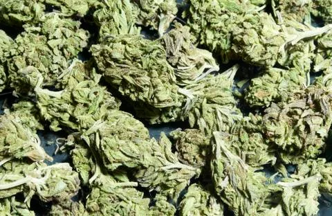 Marijuana colorado Stock Photos