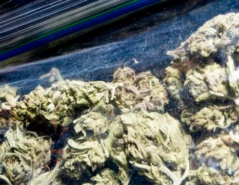 Marijuana colorado Stock Photos