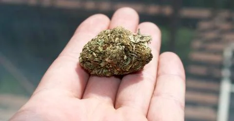 Marijuana colorado Foto stock