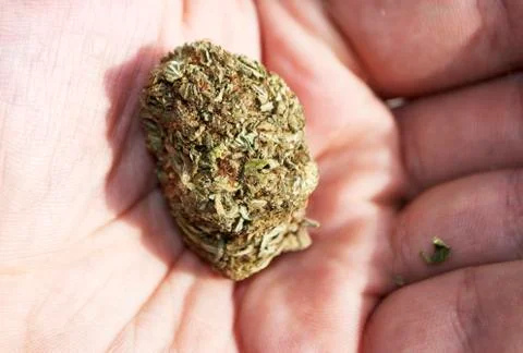 Marijuana colorado Stock Photos
