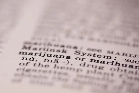 Marijuana Definition in Dictionary Foto stock