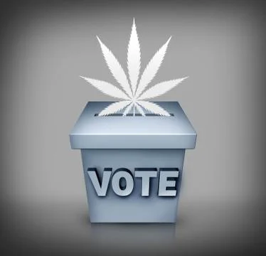 Marijuana Election Issue Stock Illustration