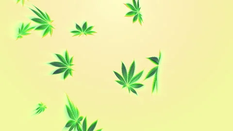 Marijuana Fall Loop on Pastel Stock Footage 274332616