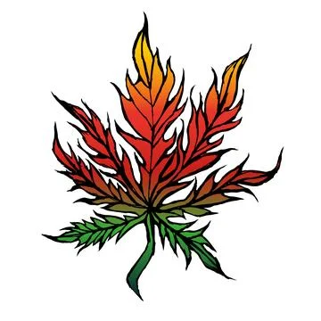 Marijuana with fire logo design concept Stock Illustration