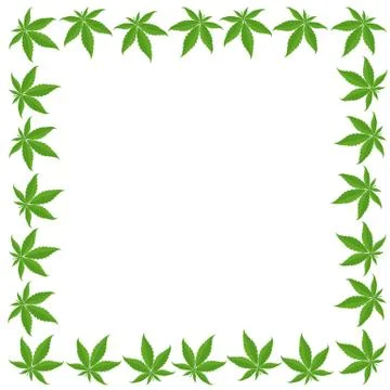 Marijuana green grass frame banner. Cannabis indica hemp plant. Border frame Stock Illustration