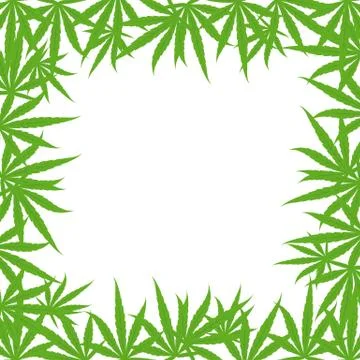 Marijuana green grass square frame banner. Cannabis hemp plant. Border frame Stock Illustration
