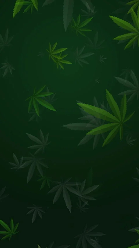 Marijuana green leaf and black marijuana hookah pattern loop animation. Stock Footage 308011383