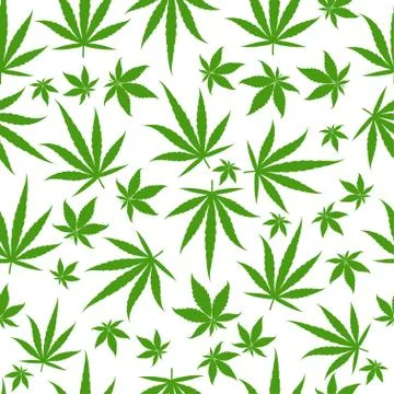 Marijuana green leaves on a white background. Rasta seamless pattern. Cannabis Stock Illustration