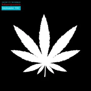 Marijuana how it works Stock Illustration