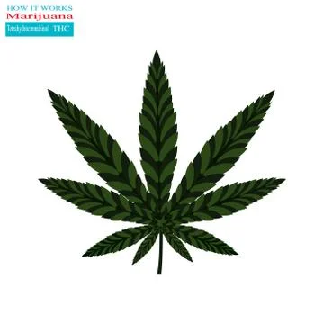 Marijuana how it works Stock Illustration
