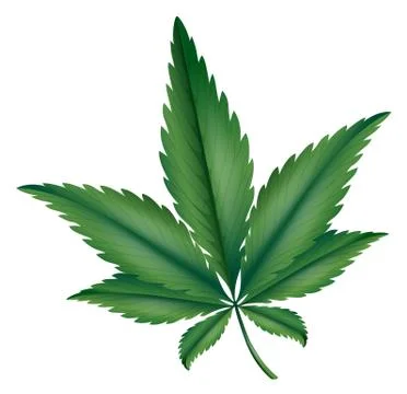 Marijuana 스톡 일러스트