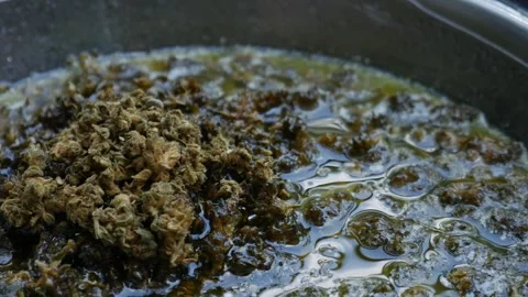 Marijuana Infusion Cooking Process Cannabutter Making Method Stock Footage 325420223