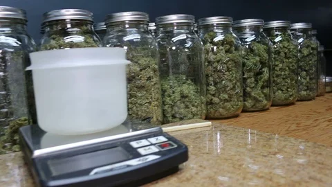 MARIJUANA IN JARS ON COUNTER, Colorado Stock Footage 100204593