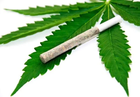 Marijuana joint on leaf Foto stock