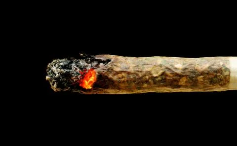 Marijuana joint Фото