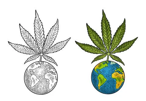Marijuana leaf and Earth planet. Vintage black vector engraving illustration Stock Illustration