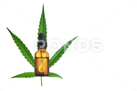 Marijuana leaf and hemp oil pictures dark background, beautiful background Stock Photos