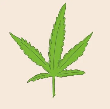 Marijuana leaf canapa Stock Illustration