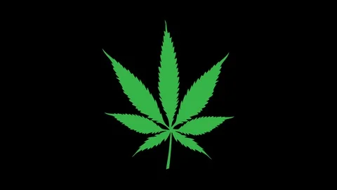 Marijuana leaf cartoon isolated Video stock 127619796