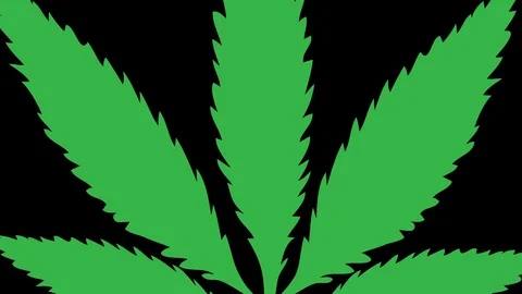 Marijuana leaf cartoon isolated Video stock 127619876