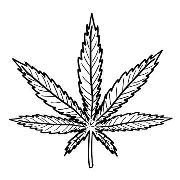 Marijuana leaf drawing. Simple hemp symbol vector. 스톡 일러스트