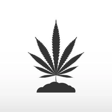 Marijuana leaf in the earth on white background. Stock Illustration