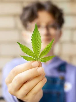 Marijuana leaf in girl's hand, the legalization of cannabis Stock Photos