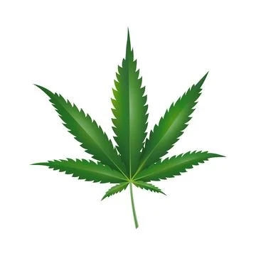 Marijuana leaf. Green hemp leaf vector illustration. Stock Illustration