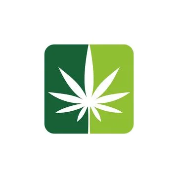 Marijuana Leaf Hemp Weed Icon Vector Logo Template Illustration Design Stock Illustration