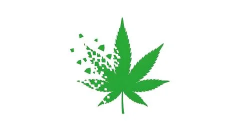 Marijuana leaf icon with digital glitch effect or shattering pieces showing.. Illustrazione stock