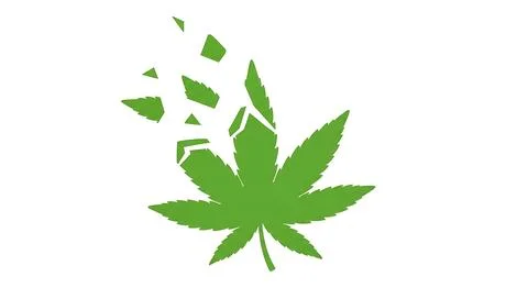 Marijuana leaf icon disintegrating into small green pieces against white ba.. Stock Illustration