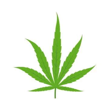 Marijuana leaf. Icon or logo. Green on a white background. Hemp plant. Cannabis Stock Illustration