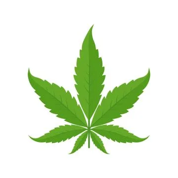 Marijuana leaf. Icon or logo. Green on a white background. Hemp plant. Cannabis Stock Illustration
