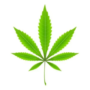 Marijuana leaf Stock Illustration