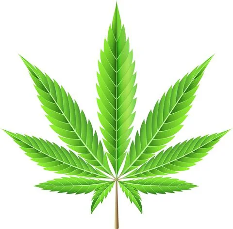 Marijuana leaf illustration Stock-Illustration