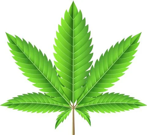 Marijuana leaf illustration Stock Illustration