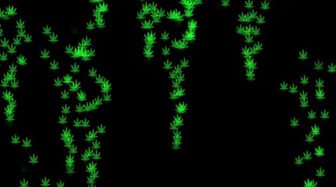 Marijuana Leaf Loop #2 Background Stock Footage 42628550