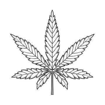 Marijuana leaf or cannabis leaf weed icon Stock Illustration