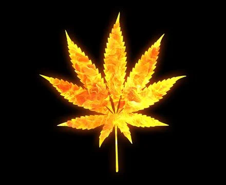 A Marijuana leaf outline with a bright fire pattern isolated on a black backg Stock Illustration